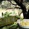 olive_b olive_b